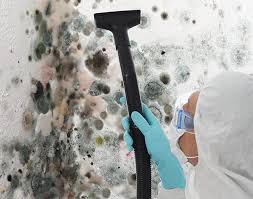 Why You Should Choose Our Mold Remediation Services in Bourbon, MO